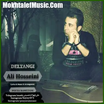 دانلود آهنگ علی حسینی دلتنگی