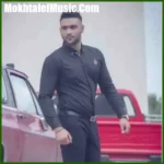 دانلود آهنگ علی میررضایی عاشقی بسه