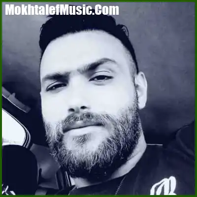 دانلود آهنگ علی میررضایی لجباز دتر