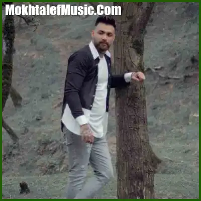 دانلود آهنگ علی میررضایی یار وفادار