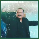 دانلود آهنگ موی سفید جو گندمی