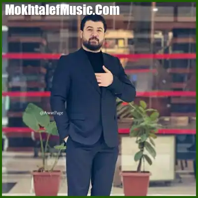 دانلود آهنگ آوات بوکانی یادی تو