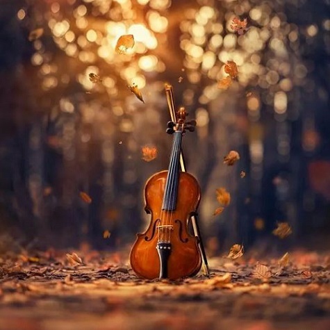 دانلود آهنگ عشق من منو صدا کن منو از خودم رها کن