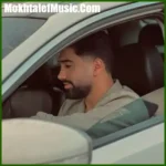 دانلود آهنگ جواد عباسی زرشک دار