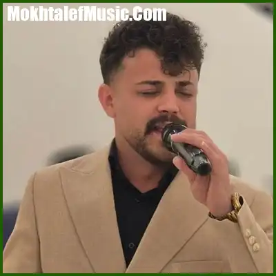 دانلود آهنگ محمد مولایی نگم برات