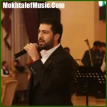 دانلود آهنگ نامیک قاراچوخورلو Bu Gozel دانلود آهنگ نامیک قاراچوخورلو Bu Gozel