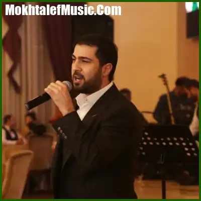 دانلود آهنگ نامیک قاراچوخورلو Bu Gozel