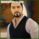 دانلود آهنگ نامیک قاراچوخورلو Dedim Birden دانلود آهنگ نامیک قاراچوخورلو Dedim Birden