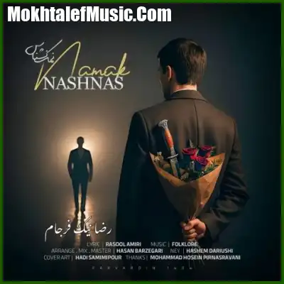 دانلود آهنگ رضا نیک فرجام نمک نشناس