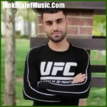 دانلود آهنگ کاشکی برگردی دلم تنگه