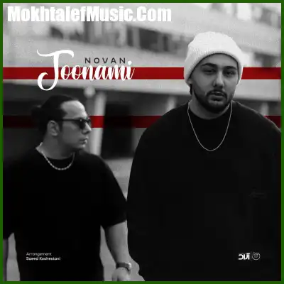 دانلود آهنگ نوان جونمی دانلود آهنگ نوان جونمی