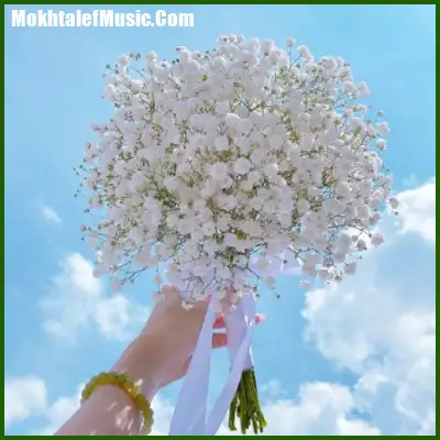 دانلود آهنگ تو خوبی تو ماهی الهی سیم بمونی