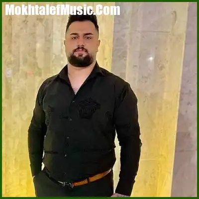 دانلود آهنگ بهنام حسن زاده دلبر