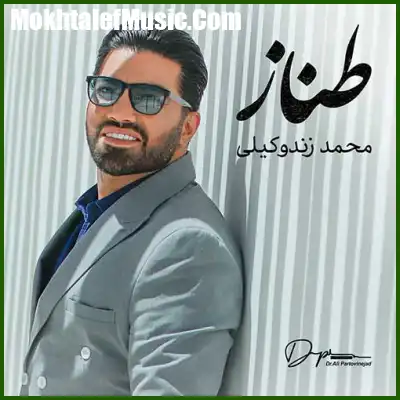دانلود آهنگ محمد زند وکیلی طناز