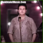 دانلود آهنگ مرتضی جعفرزاده یار قد بلند