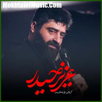 دانلود مداحی علی لنگرودی عزیز حیدر دانلود مداحی علی لنگرودی عزیز حیدر