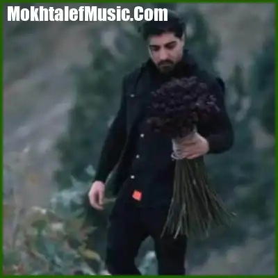 دانلود آهنگ امیر لیام میشه برگردی نگو دیره