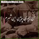 دانلود مداحی من بچه پایین این شهرم