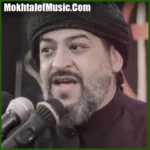 دانلود مداحی سید محمد حسینی دخترم گریه تو پشت مرا میشکند