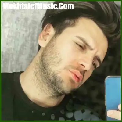 دانلود آهنگ نه ممنون