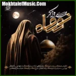 دانلود آهنگ مهدی ذاکر نور ماه