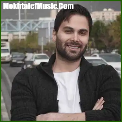 دانلود آهنگ حالم به تو بستگی داره نبضم به تو وابستگی داره