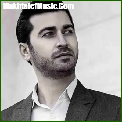 دانلود مداحی مرتضی باب باز عزای گل حیدره