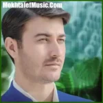 دانلود مداحی مرتضی باب مادر آب کجایی پسرت آب نخورد