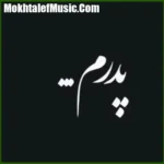 دانلود مداحی پدرم رفت