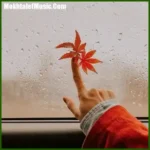 دانلود آهنگ یادته یه روز میگفتم که تو مال مایی دختر
