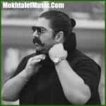 دانلود آهنگ خوشگل سر به هوا بهنام بانی