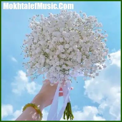 دانلود آهنگ گل های گل خونه ای