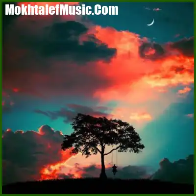 دانلود آهنگ نارد ز یادم حسن کریمی
