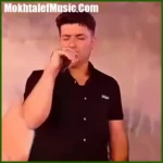 دانلود آهنگ مو چطور نازت کنم بی دسه خسته
