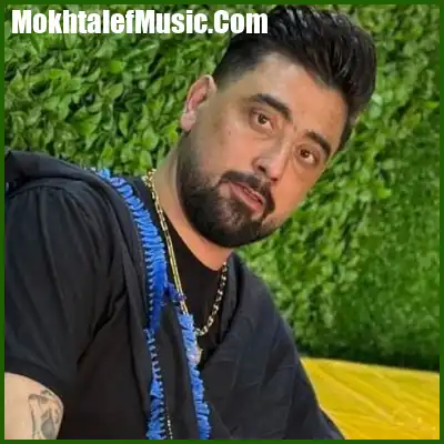 دانلود آهنگ دلم میخواد غزل خون تو باشم