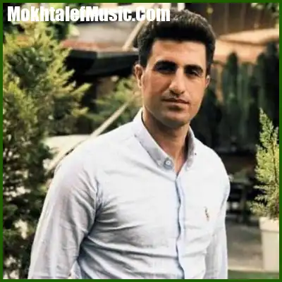 دانلود آهنگ محسن لرستانی میبینمت همش دورمی