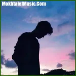 دانلود آهنگ دل به دریا زده بودم که براش ماهی بیارم