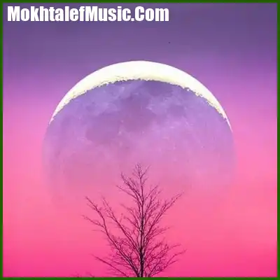 دانلود آهنگ ای همیشگی ترین عشق