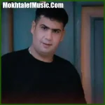 دانلود آهنگ روز میشمارم در بند زندان