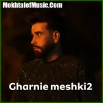 دانلود آهنگ مجید حاتمی قرنیه مشکی ۲
