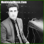 دانلود آهنگ دختر حور پری لیلا جان چشم عسلی