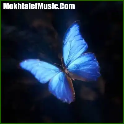 دانلود آهنگ ساقیا ننتو کنم بوس