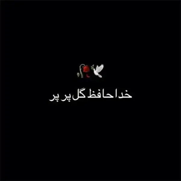 دانلود آهنگ مهدی دارابی (هوروش بند) خداحافظ گل پرپر دانلود آهنگ مهدی دارابی (هوروش بند) خداحافظ گل پرپر