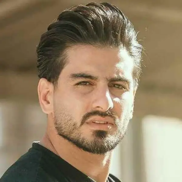 دانلود آهنگ سعید حسینی افسوس سرد