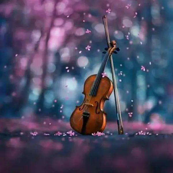 دانلود آهنگ گیس فرفریگم چاو قشنگگم