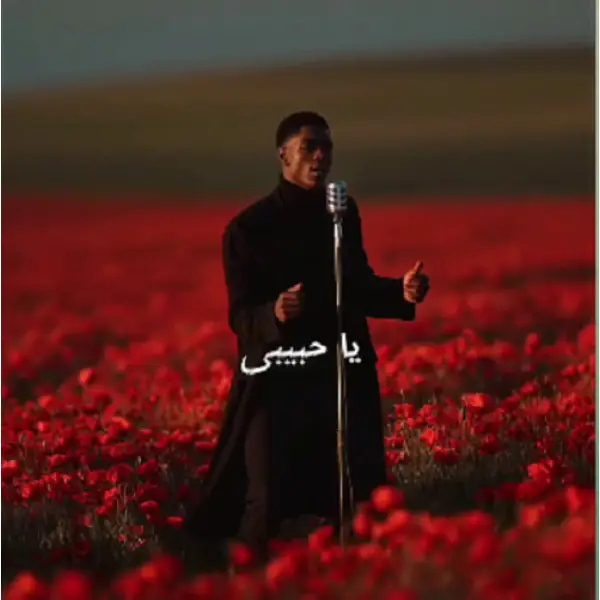 دانلود آهنگ Mi Amor از Hamex موزیک عربی يا حبيبي ترند اینستا