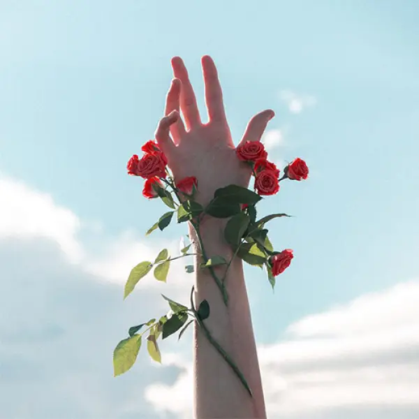 دانلود آهنگ ریمیکس dead rose 4 دانلود آهنگ ریمیکس dead rose 4
