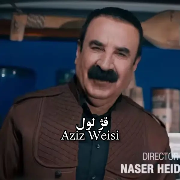 دانلود آهنگ عزیز ویسی قژ لویل