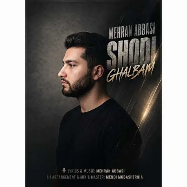 دانلود آهنگ مهران عباسی شدی قلبم
