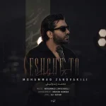 دانلود آهنگ محمد زندوکیلی عشق تو